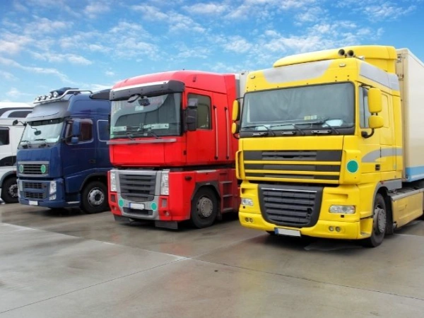 İstanbul Amasra Nakliye